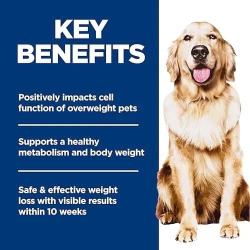 Hill's Science Diet Adult Perfect Weight Chicken & Brown Rice Recipe Dry Dog Food 5.44 kg (12 lb) | Clinically Proven Weight Management thumbnail 3