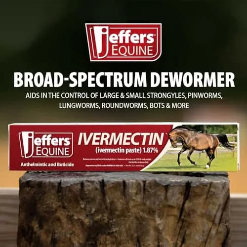 Jeffers Ivermectin Dewormer for Horses 3 Pack | Apple Flavored Broad Spectrum Paste thumbnail 4
