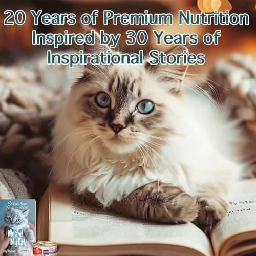 Chicken Soup for the Soul All Natural Premium Adult Wet Cat Food, Salmon Shreds, 5.5oz (Pack of 24) | Real Meat First Ingredient thumbnail 5