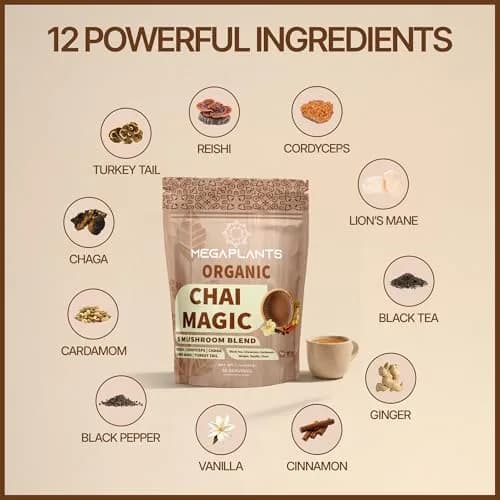 Megaplants Mushroom Chai Tea | Organic Masala Chai Latte Coffee Alternative for Focus & Wellness thumbnail 5