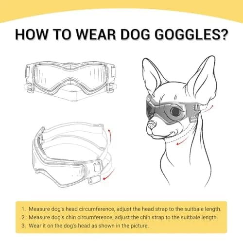 PETLESO Pink Dog Goggles for Medium Breeds | UV Protection, Windproof, Anti-Fog thumbnail 7