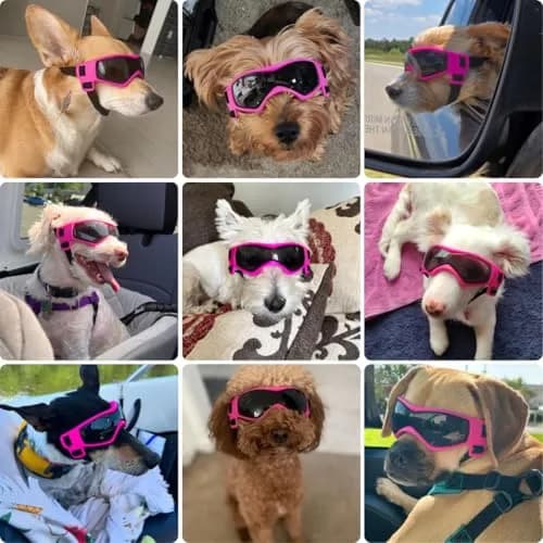PETLESO Pink Dog Goggles for Medium Breeds | UV Protection, Windproof, Anti-Fog thumbnail 3
