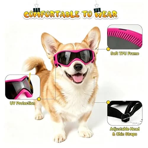 PETLESO Pink Dog Goggles for Medium Breeds | UV Protection, Windproof, Anti-Fog thumbnail 4