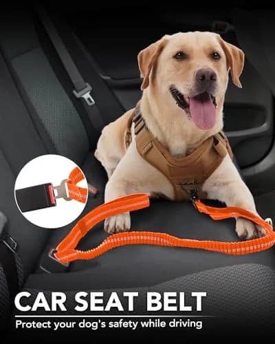Joytale Tactical Dog Leash 6 ft | Shock Absorbing No Pull, Orange, Heavy Duty, Reflective, Dual Handles, Car Seatbelt Clip thumbnail 5