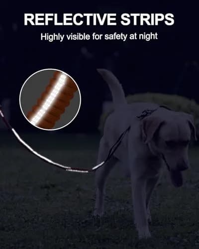 Joytale Tactical Dog Leash 6 ft | Shock Absorbing No Pull, Orange, Heavy Duty, Reflective, Dual Handles, Car Seatbelt Clip thumbnail 6