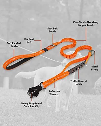 Joytale Tactical Dog Leash 6 ft | Shock Absorbing No Pull, Orange, Heavy Duty, Reflective, Dual Handles, Car Seatbelt Clip thumbnail 7