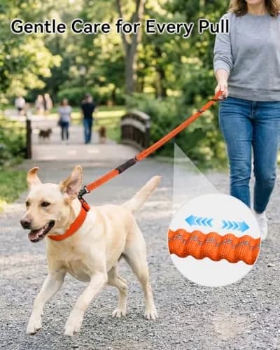 Joytale Tactical Dog Leash 6 ft | Shock Absorbing No Pull, Orange, Heavy Duty, Reflective, Dual Handles, Car Seatbelt Clip thumbnail 3