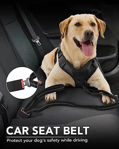 Joytale Tactical Dog Leash 6 ft | Shock Absorbing No Pull, Black, Heavy Duty, Large Dogs thumbnail 4