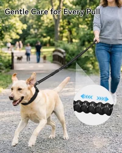 Joytale Tactical Dog Leash 6 ft | Shock Absorbing No Pull, Black, Heavy Duty, Large Dogs thumbnail 2