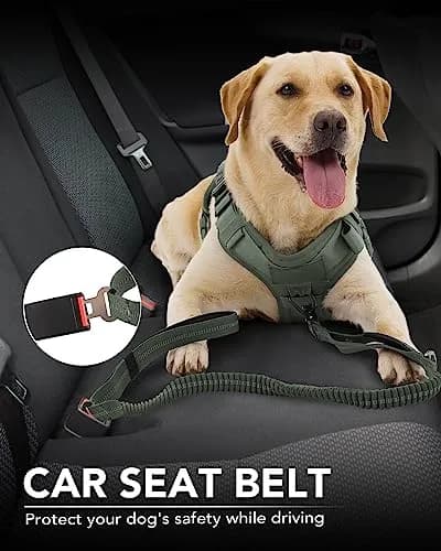 Joytale Tactical Bungee Dog Leash, Shock Absorbing No Pull, Army Green | Heavy Duty Control for Large Dogs thumbnail 5