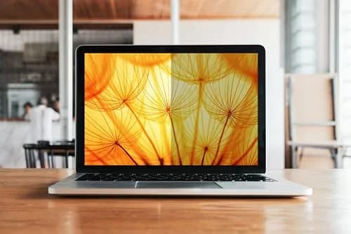 3M Bright Screen Privacy Filter for 13.3in Laptop, 16:9, BP133W9B | Advanced Nanolouver Technology thumbnail 6