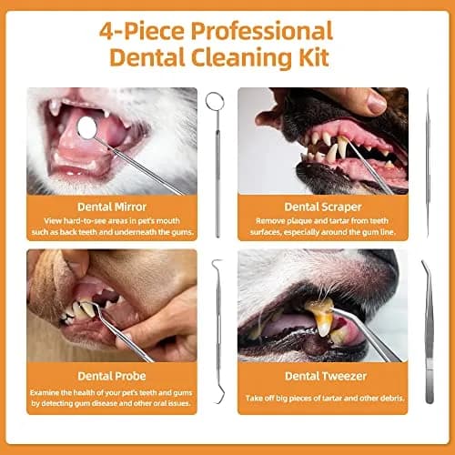 PAWSION Ultrasonic Pet Tooth Cleaner Kit 5 Modes | Safe Electric Tartar & Stain Remover for Dogs & Cats thumbnail 6