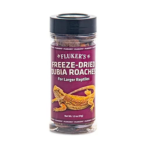 Fluker's Freeze Dried Dubia Roaches 48.19 g (1.7 oz) | High Protein Reptile Food thumbnail 1