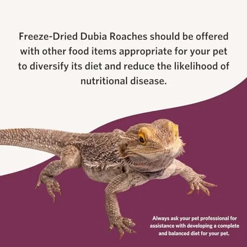 Fluker's Freeze Dried Dubia Roaches 48.19 g (1.7 oz) | High Protein Reptile Food thumbnail 5