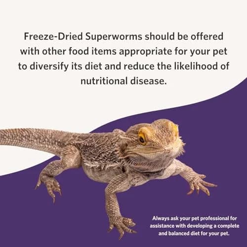 Fluker's Freeze Dried Superworms for Reptiles, Birds, Fish, Hedgehogs - 48g (1.7 oz) thumbnail 4
