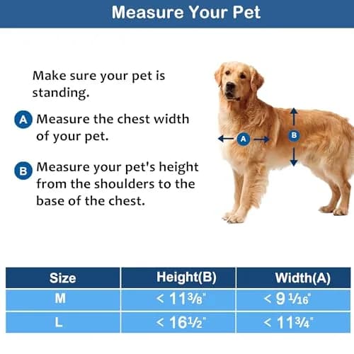 CEESC Medium Dog Door 9.06"x11.38" | Weatherproof, Durable, Fits Doors 1.19"–2.06" thumbnail 4