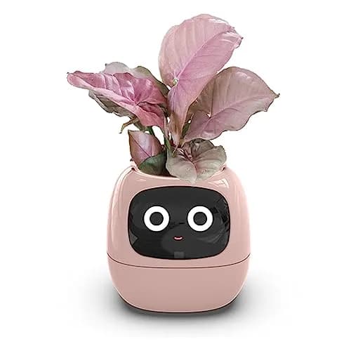 Itigoitie Smart Pet Planter Ivy with LCD Screen & Auto Watering 100ml (Pink) | Interactive AI Plant Care Companion thumbnail 1