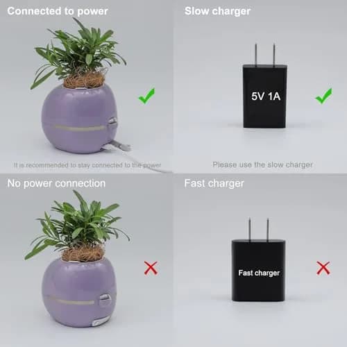Itigoitie Smart Pet Planter Ivy with LCD Screen & Auto Watering 100ml (Pink) | Interactive AI Plant Care Companion thumbnail 2