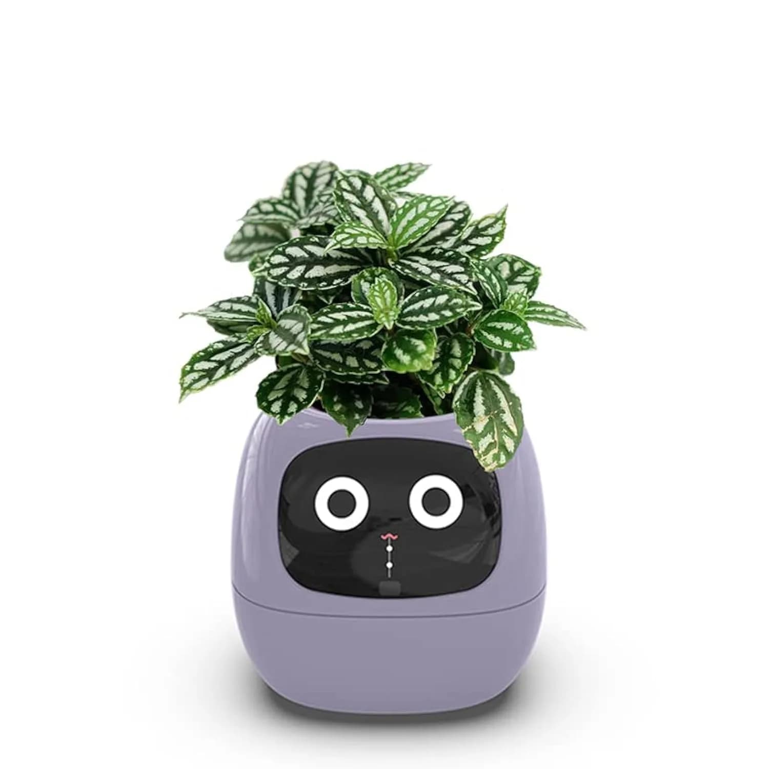 Itigoitie Smart Flowerpot 100ml (3.38 Fl Oz) | Interactive Plant Care with AI & Digital Display — Purple