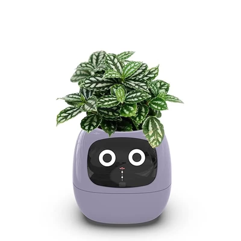 Itigoitie Smart Flowerpot 100ml (3.38 Fl Oz) | Interactive Plant Care with AI & Digital Display thumbnail 2