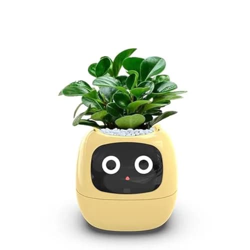 Itigoitie Smart AI Planter with LCD Screen & Auto Watering, 100ml (3.38 Fl Oz) | Yellow thumbnail 1