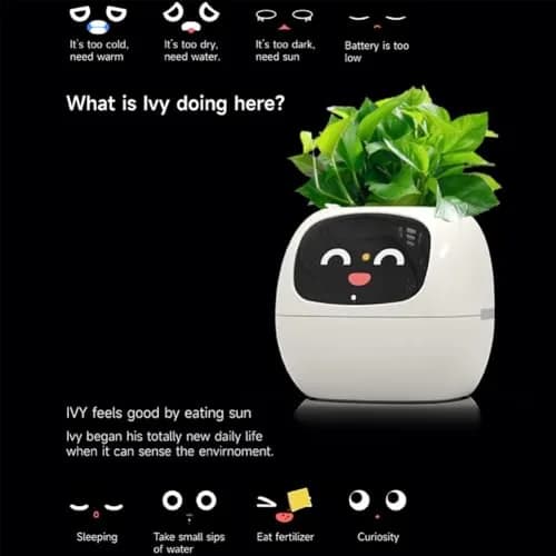 Itigoitie Smart AI Planter with LCD Screen & Auto Watering, 100ml (3.38 Fl Oz) | Yellow thumbnail 5