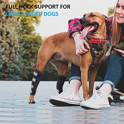 Bawektrl Dog Leg Brace for Back Legs, Canine Hind Hock Brace, Joint Compression Warps Support for Rear Leg with Injury Sprain, Wound Care for Loss of Stability from Arthritis Torn ACL (X-Small, Black, 1 Pair) thumbnail 2