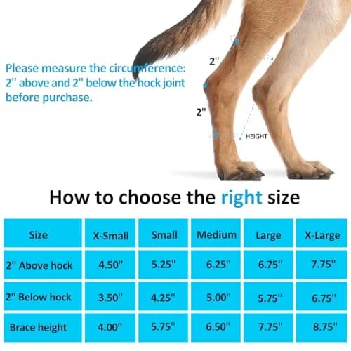 Bawektrl Dog Leg Brace for Back Legs, Canine Hind Hock Brace, Joint Compression Warps Support for Rear Leg with Injury Sprain, Wound Care for Loss of Stability from Arthritis Torn ACL (X-Small, Black, 1 Pair) thumbnail 3