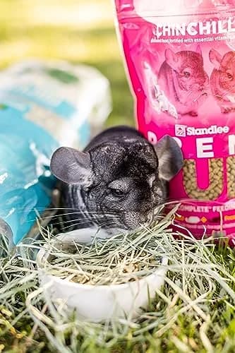 PremiYum Small Animal Alfalfa Hay 12 lb | Natural Fiber & Dental Support thumbnail 7