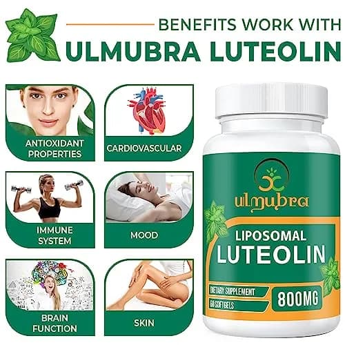 Ulmubra 800 MG Liposomal Luteolin Supplement | Maximum Absorption & Antioxidant Support for Brain & Well-Being, 60 Softgels thumbnail 5