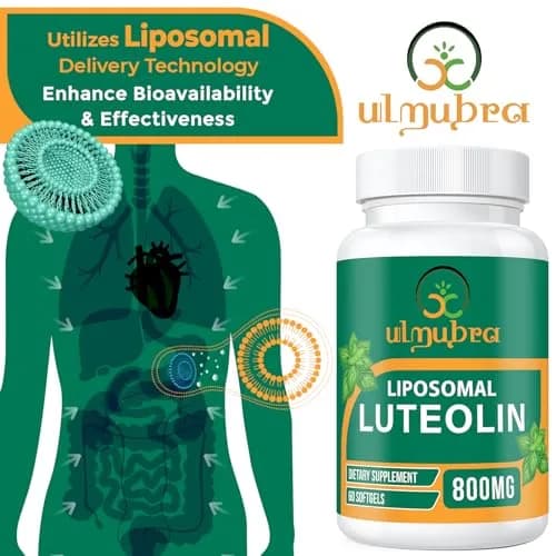 Ulmubra 800 MG Liposomal Luteolin Supplement | Maximum Absorption & Antioxidant Support for Brain & Well-Being, 60 Softgels thumbnail 3