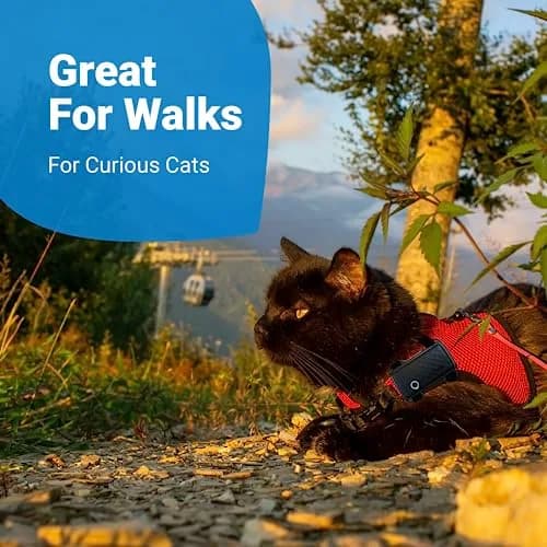 Tractive GPS Cat Mini Tracker Harness Attachment | Velcro Straps for Secure Cat Walks thumbnail 5