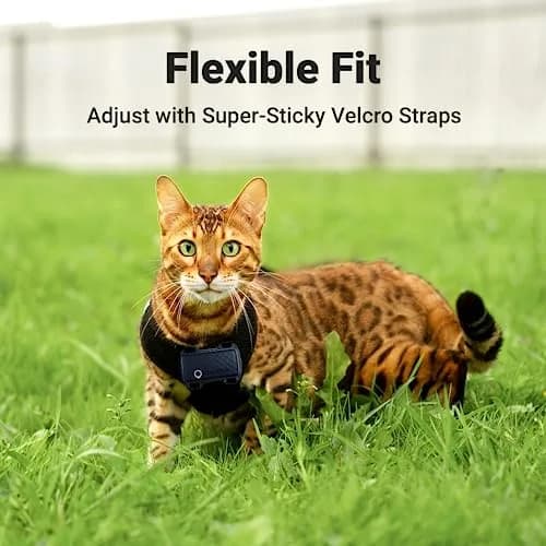 Tractive GPS Cat Mini Tracker Harness Attachment | Velcro Straps for Secure Cat Walks thumbnail 3