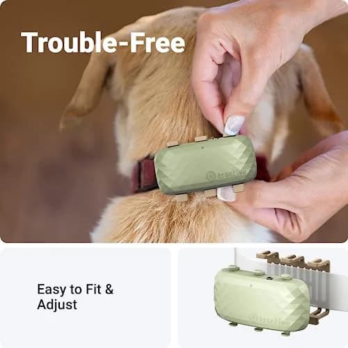 Tractive GPS Dog XL Tracker Rubber Attachment Clips (Pack of 3) | Fits Collars Up to 1.6 Inches Wide thumbnail 7