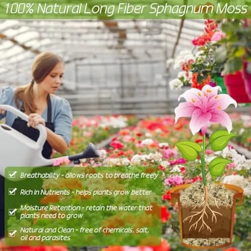 ZeeDix Premium Sphagnum Moss Bulk 2.2 lb (998g) | Natural Long Fiber for Plants & Reptiles thumbnail 4