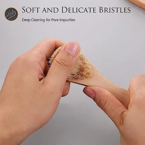 Kootinn Mini Dry Brush Natural Bristle Small Body Brush for Sensitive Areas | Exfoliating Facial & Skin Rejuvenation thumbnail 5