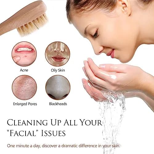 Kootinn Mini Dry Brush Natural Bristle Small Body Brush for Sensitive Areas | Exfoliating Facial & Skin Rejuvenation thumbnail 3