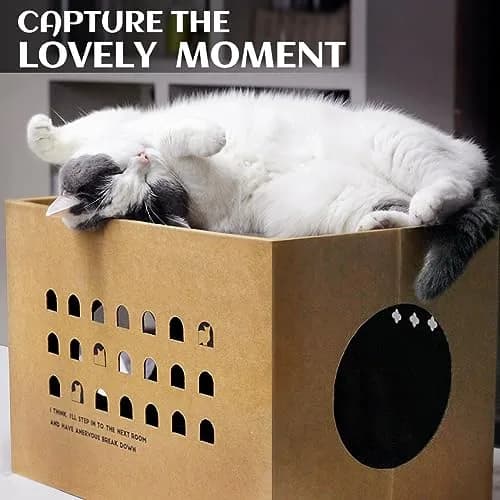 ARGOPET Cactus Cat Cardboard House with 2 Scratching Pads 30.1 cm (11.8 in) | Recycled Corrugated Board Villa for Indoor Cats thumbnail 6