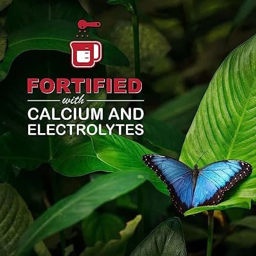 Sweet-Seed Butterfly Nectar 8oz | Ready to Use, Extends Nectar Life for Feeders thumbnail 6