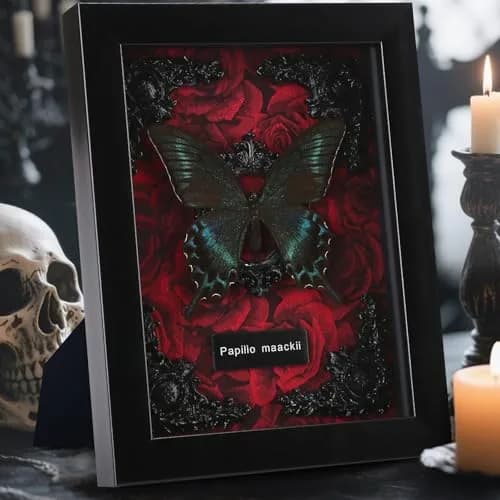 WTUAWB Real Butterfly Framed Butterfly Taxidermy 8.85x6.89x1.18 | Gothic Home Decor thumbnail 2