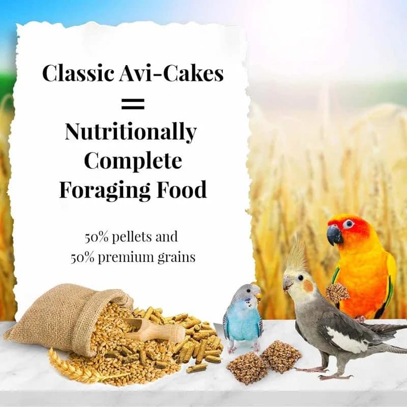 LAFEBER'S Classic Avi-Cakes Pet Bird Food 16 oz (454 g) | Non-GMO & Human-Grade Ingredients for Small Birds thumbnail 3