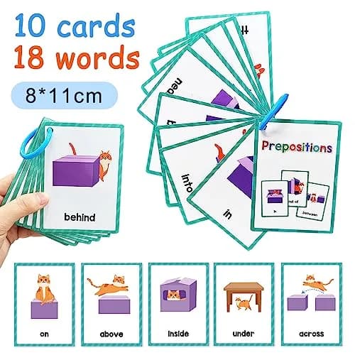 Lachilly Prepositions Flashcards 10 Cards (8 X 11 cm) | Kindergarten Vocabulary Building thumbnail 8