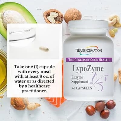 TRANSFORMATION LypoZyme Enzyme Supplement 120 Cap | Supports Digestion & Nutrient Absorption thumbnail 5
