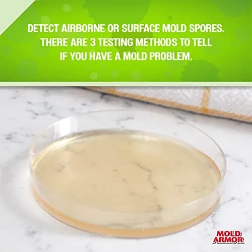 Mold Armor FG500 DIY Mold Test Kit, Gray (Pack of 2) | Test for Mold Fast in 48 Hours thumbnail 3