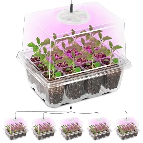 Bonviee Seed Starter Trays with 12-LED Grow Lights, Clear, 5 Pack | Indoor Germination Kit with Root Observation thumbnail 1