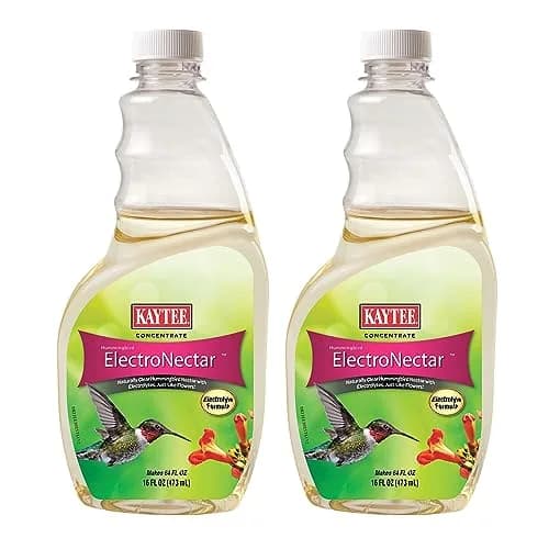Kaytee ElectroNectar Wild Bird Food 16 Fl Oz | Electrolyte Concentrate for Hummingbirds thumbnail 1