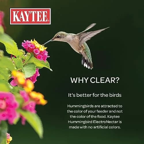Kaytee ElectroNectar Wild Bird Food 16 Fl Oz | Electrolyte Concentrate for Hummingbirds thumbnail 4