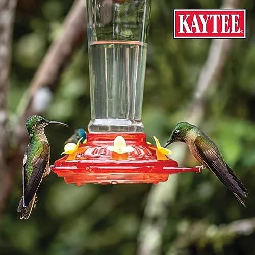 Kaytee ElectroNectar Wild Bird Food 16 Fl Oz | Electrolyte Concentrate for Hummingbirds thumbnail 6