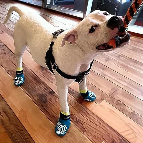 PawFlex Comfy Pawz Dog Socks | Non-Slip Cotton Traction Control for Senior & Disabled Dogs thumbnail 3