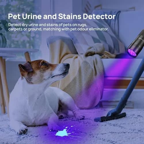 Consciot 2 Pack UV Blacklight Flashlight 12 LED 395nm | Pet Urine Detector for Dry Stains thumbnail 3